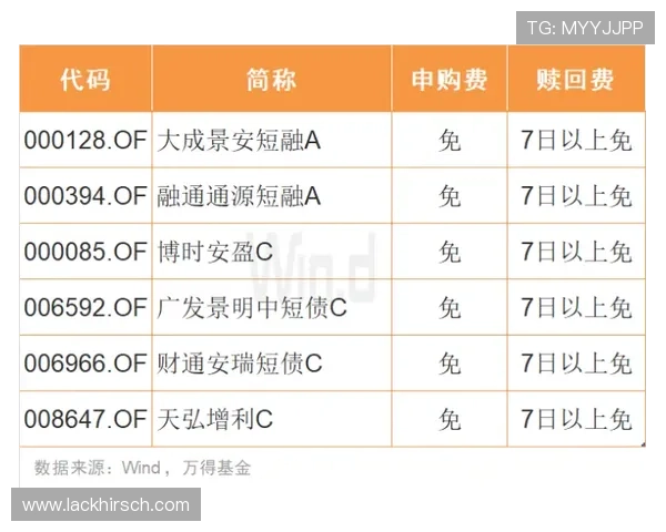 掌握百家乐超级六技巧实现稳健盈利的详细方法解析